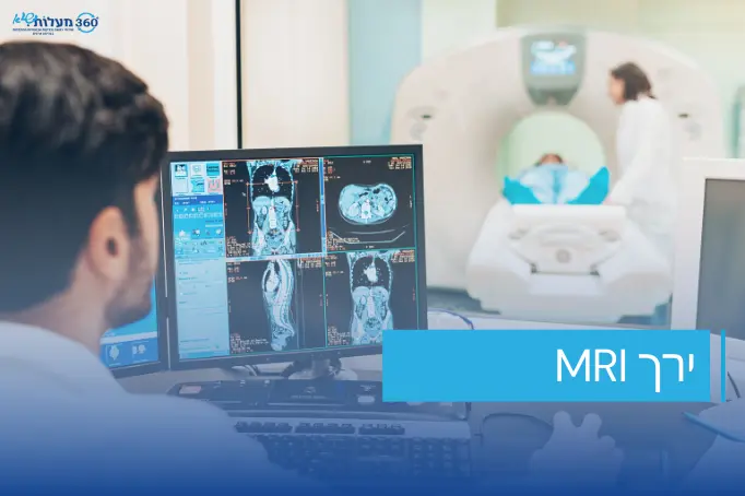 רופא בודק תוצאות של בדיקת MRI של ירך.