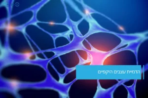 הדמיית עצבים היקפיים – המחשה של פעילות ונזק עצבי