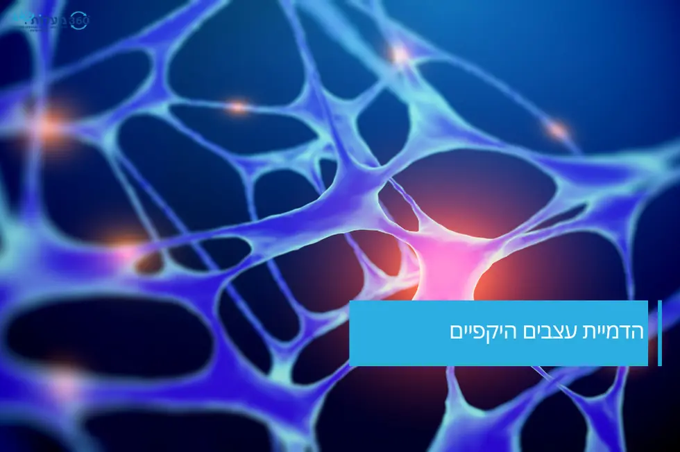 הדמיית עצבים היקפיים – המחשה של פעילות ונזק עצבי