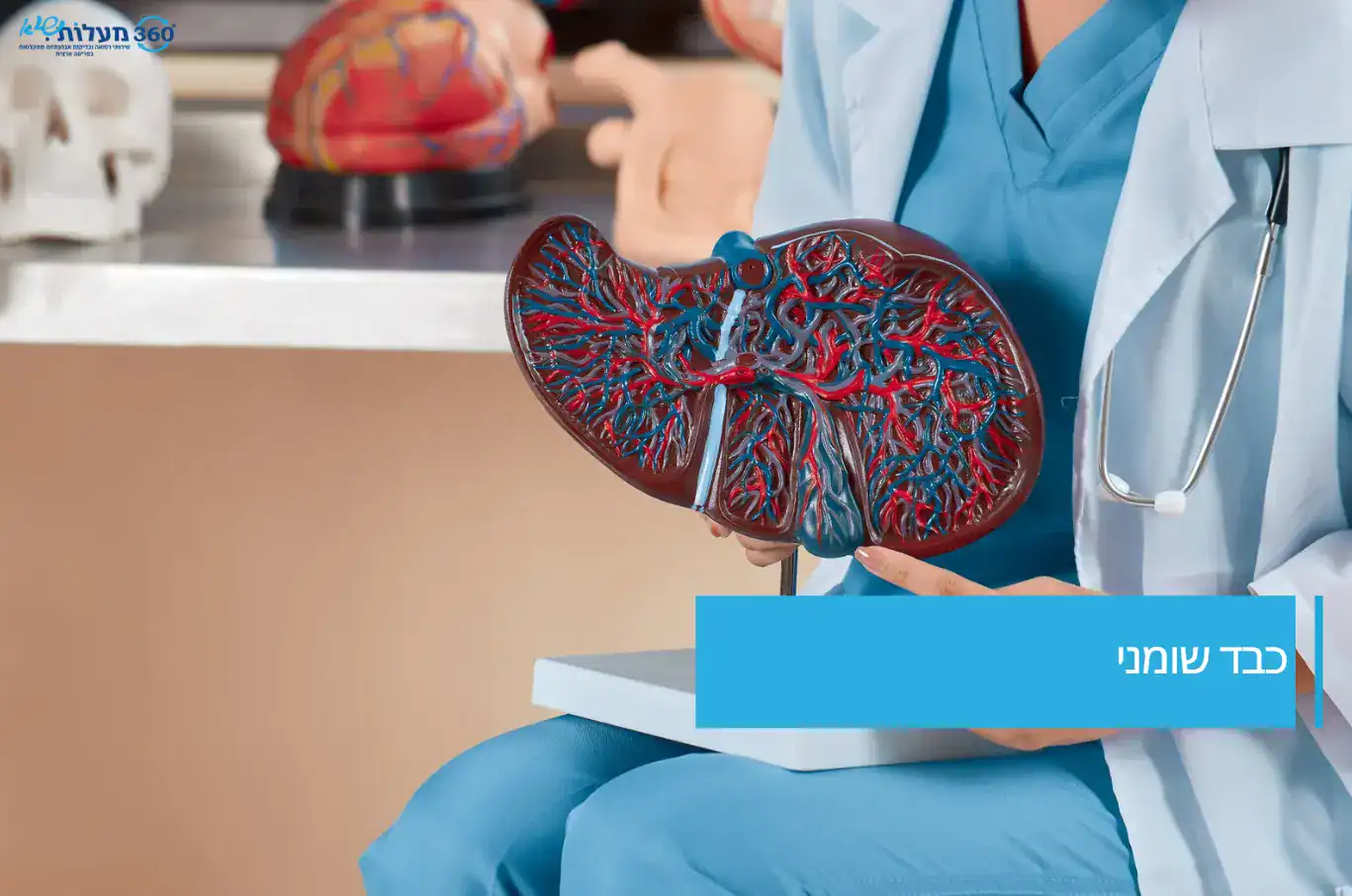 כבד שומני מתקדם – בדיקת MRI להערכת מצב הכבד